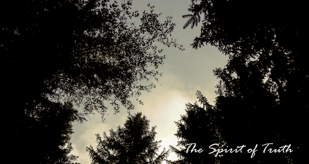 Do Not Deceive The Awareness The Spirit Of Truth